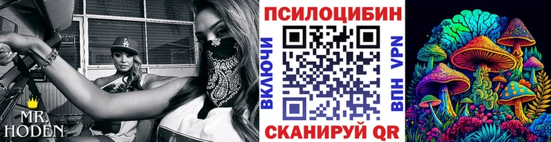 Галлюциногенные грибы Magic Shrooms  где продают наркотики  Щёкино 
